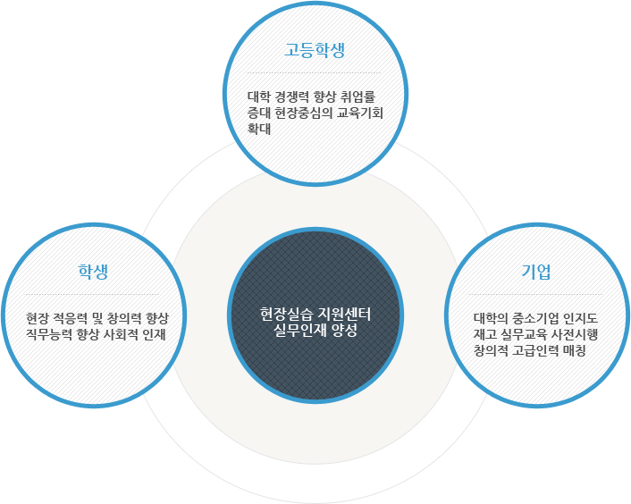 현장실습 지원센터 실무인재 양성 도식입니다. 하단의 내용을 참고하십시오.